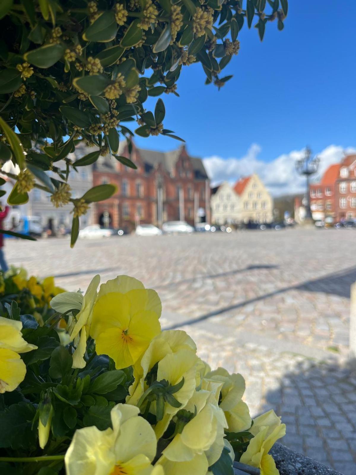Lykkefund - Ferienwohnungen In Hafennaehe Glückstadt المظهر الخارجي الصورة